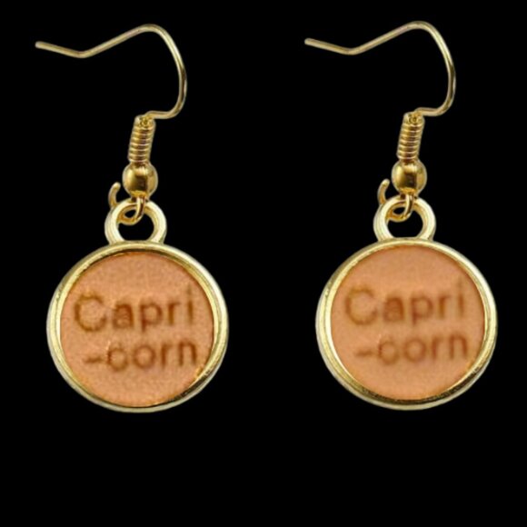 Capricorn Zodiac Sign Earrings - Posts or Dangles - - Picture 2 of 2